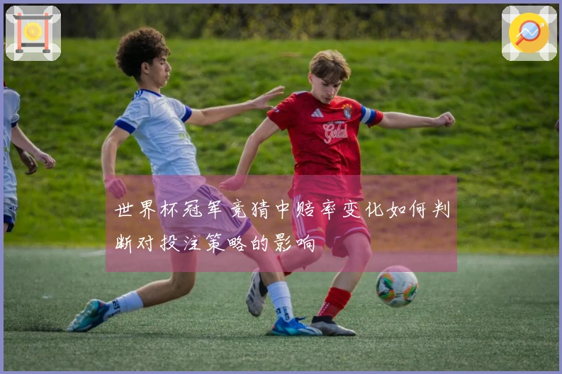 世界杯冠军竞猜中赔率变化如何判断对投注策略的影响