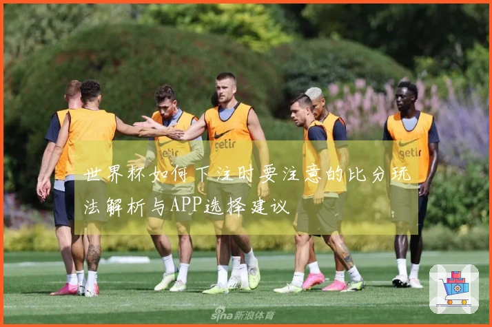 世界杯如何下注时要注意的比分玩法解析与APP选择建议