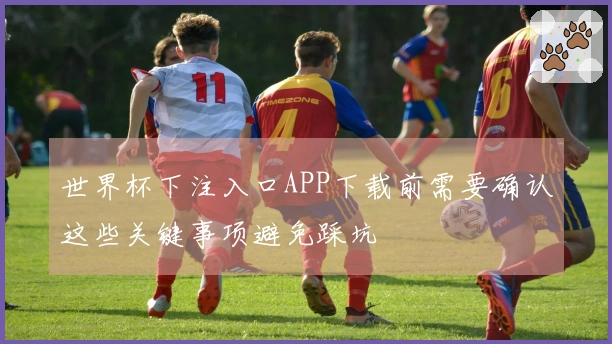 世界杯下注入口APP下载前需要确认这些关键事项避免踩坑