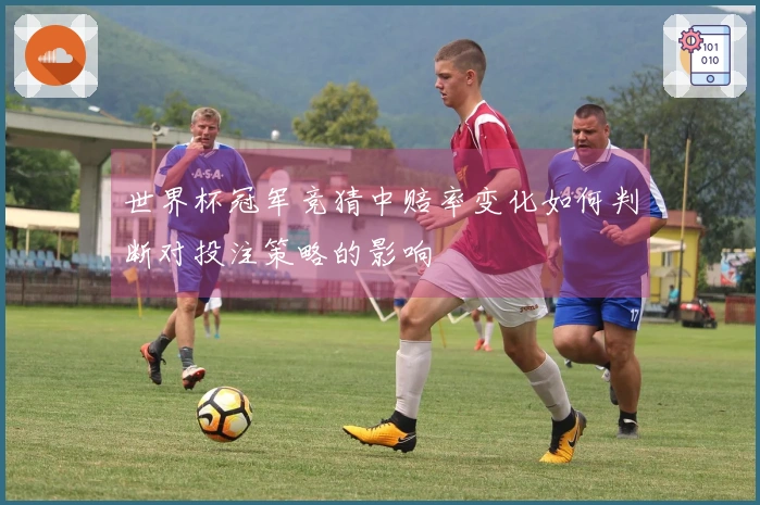 世界杯冠军竞猜中赔率变化如何判断对投注策略的影响