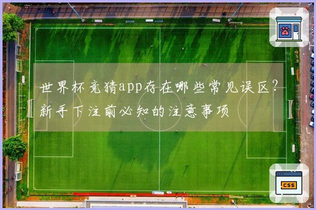 世界杯竞猜app存在哪些常见误区？新手下注前必知的注意事项