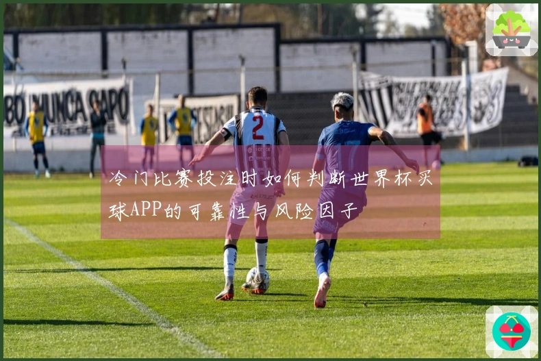 冷门比赛投注时如何判断世界杯买球APP的可靠性与风险因子